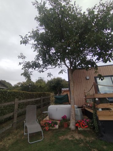 Hébergement AbracadaRoom : Le Sunset Lodge Tiny house avec vue - Image 23