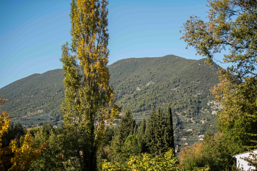 Domaine AbracadaRoom : Bulles d'Olive - Image 13