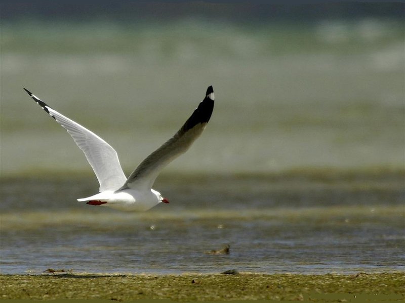 Domaine AbracadaRoom : Un Lit au Pré - Ô Manoir de Glam's - Image 14