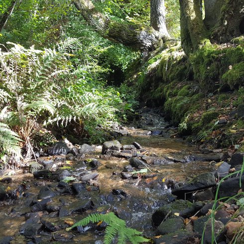 Domaine AbracadaRoom : La ferme des histoires mélangées - Image 8