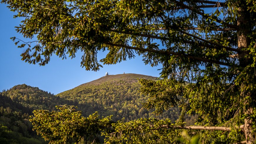Domaine AbracadaRoom : Les Cabanes perchées du Grand Ballon - Image 10