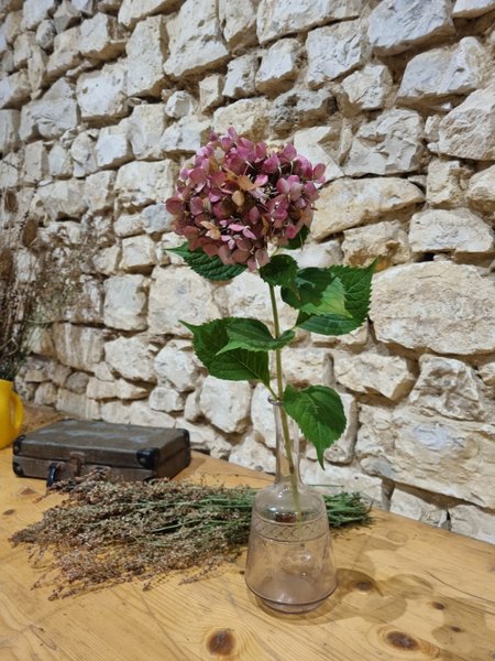 Domaine AbracadaRoom : Moulin de Vilaine - Image 44