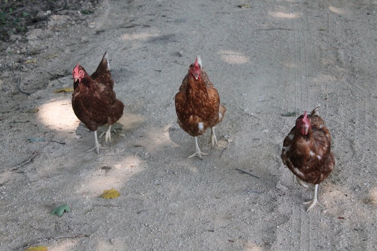 Domaine AbracadaRoom : L'Etoile Perchée - Image 6