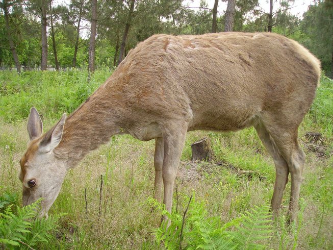 Domaine AbracadaRoom : La Ferme de l'Argenté - Image 8