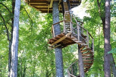 acces-escalier-lemuriens-cabane-belle