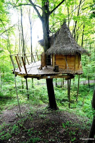 Hébergement AbracadaRoom : Fer à cheval - Image 5