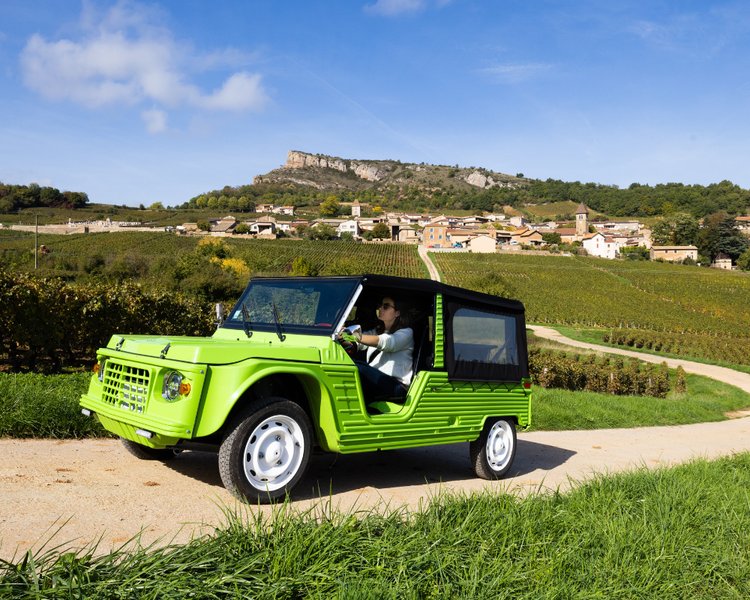 Domaine AbracadaRoom : Camping de la Grappe Fleurie - Image 7