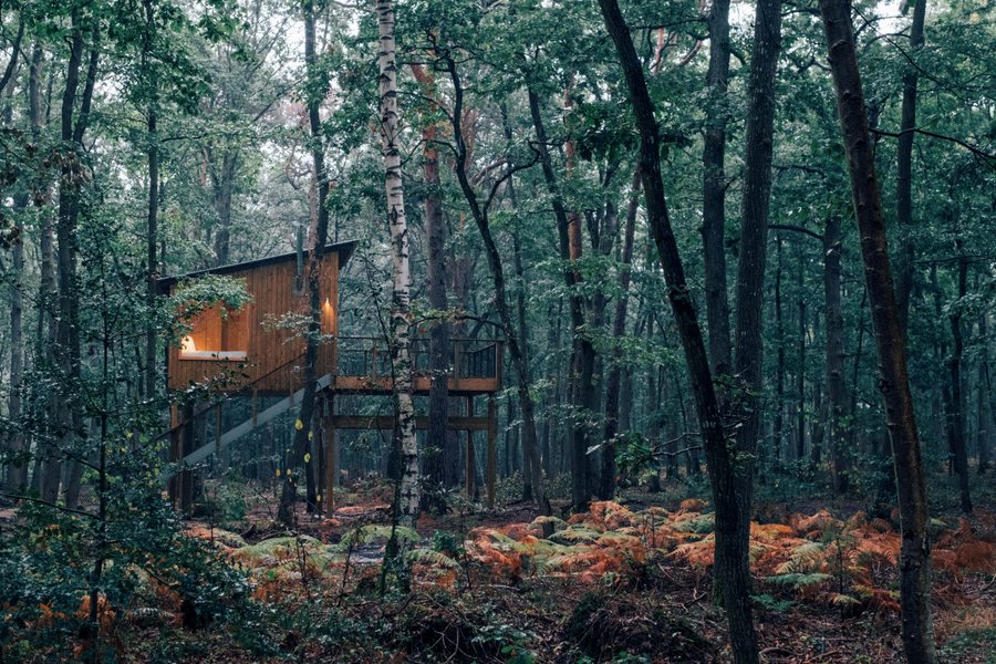 Domaine AbracadaRoom : Youza Ecolodge - Image 1