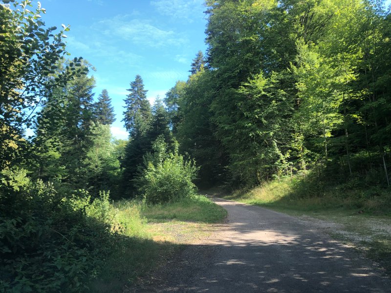 Domaine AbracadaRoom : A la bul'étoile - Image 6