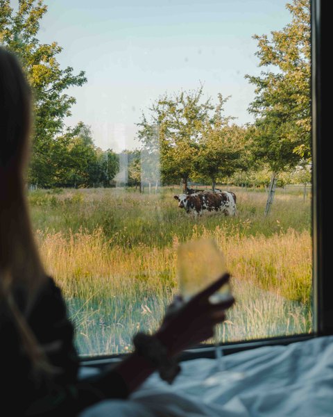 Domaine AbracadaRoom : Parcel Tiny House - dans un verger en Normandie - Image 4