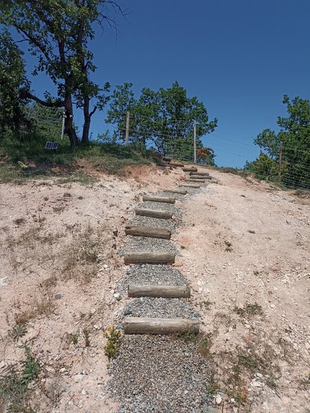 Domaine AbracadaRoom : Cabane estelas - Image 25