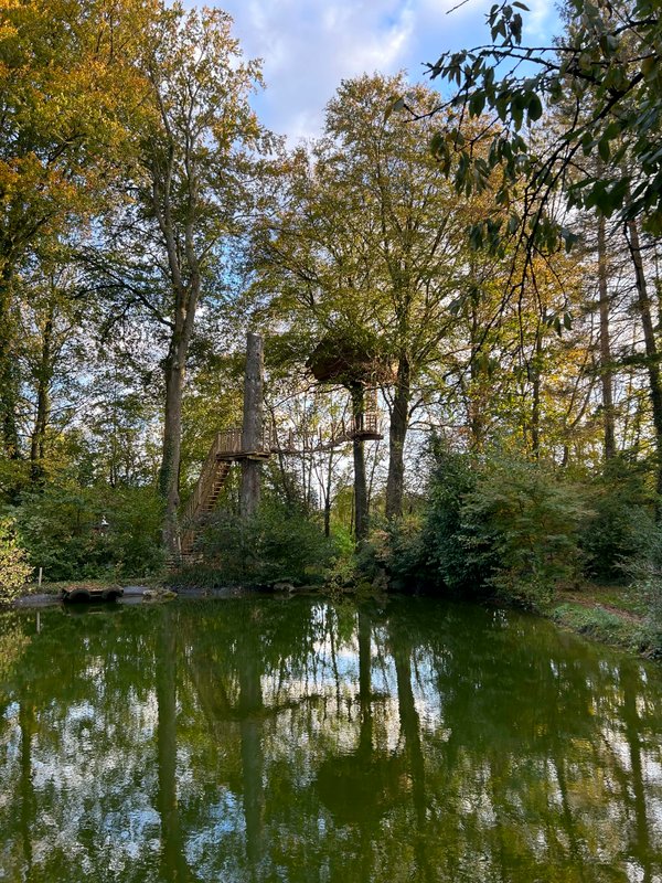 La cabane Haut-Perchée & Spa à Wail (21)