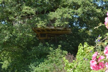 Cabane Girsberg à La Baconnière (3)