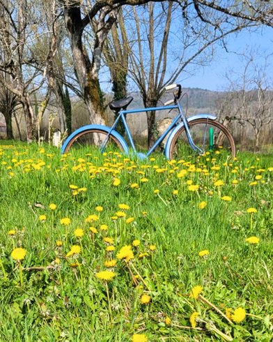 Domaine AbracadaRoom : Camping le Sorbier - Image 3