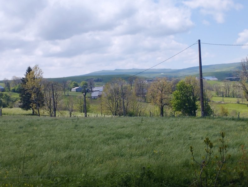 Domaine AbracadaRoom : La roulotte du p'tit Buron - Image 9