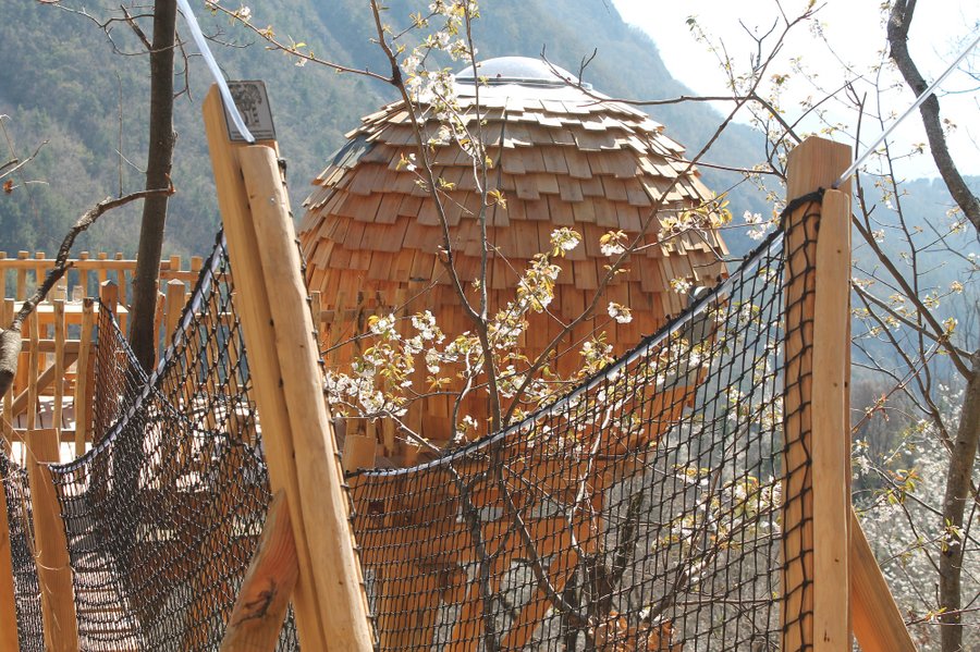 Hébergement AbracadaRoom : Lov'Nid  de Belvédère - Image 7