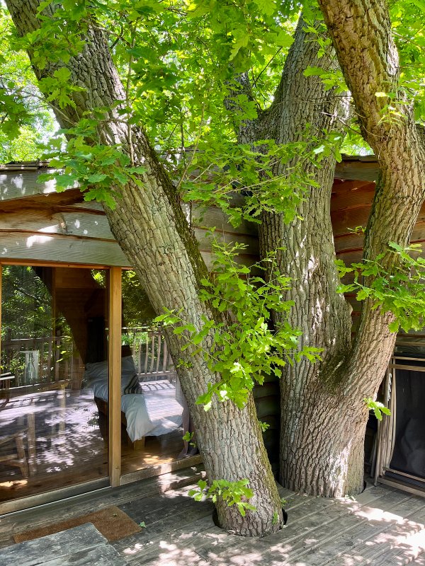 Cabane Secrète à Raray (9)