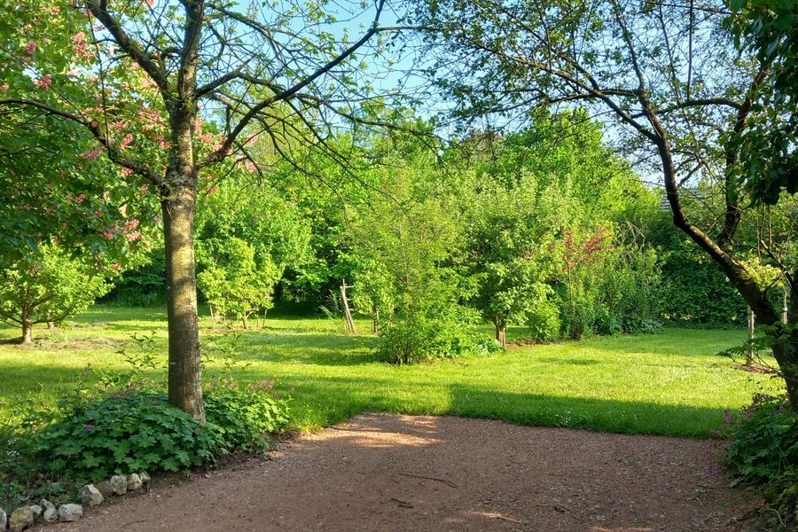 Le Kota du Lutin Many & SPA — photo 2