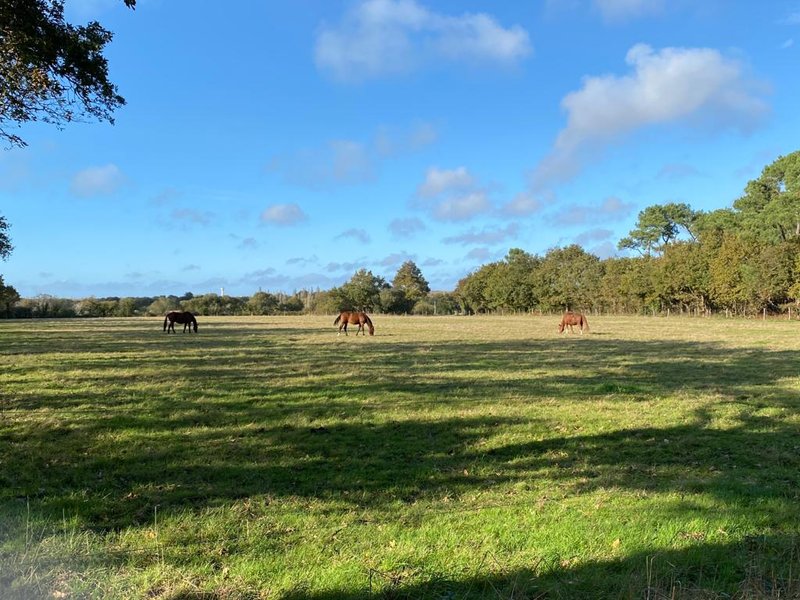 Domaine AbracadaRoom : Gîtes de la belle étoile - Image 1