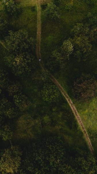 Domaine AbracadaRoom : Parcel Tiny House - à 20min du Zoo de Beauval - Image 18