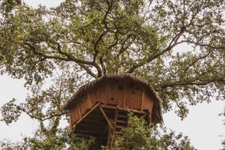 Cabane dans les arbres Haute-Saône