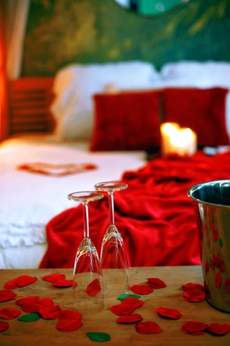 Hébergement AbracadaRoom : Évasion romantique au coeur de l'Amazonie, SPA, CINÉMA PRIVÉ, 5 min centre - Image 24