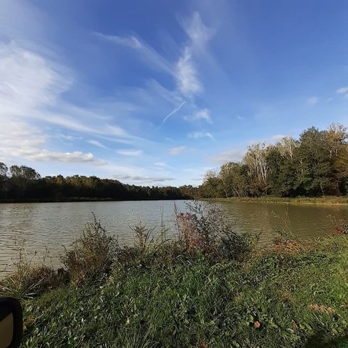 Domaine AbracadaRoom : La canopée - Image 6