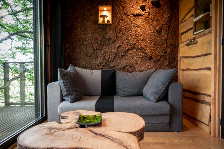 Hébergement AbracadaRoom : La Pat' de l'ours - Image 12