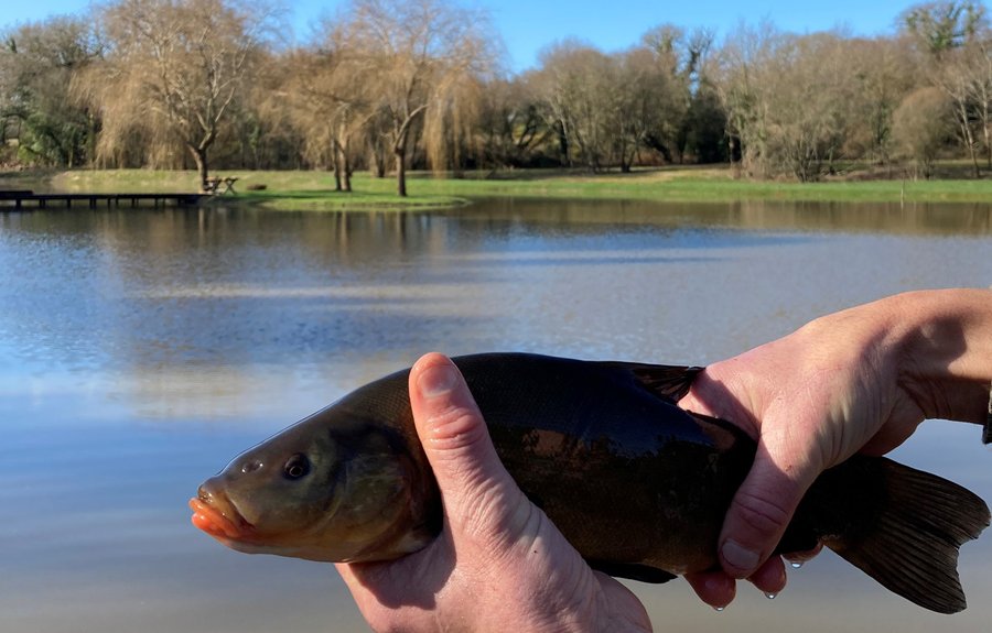 Hébergement AbracadaRoom : Ecolodge insolite -100% Eco-Responsable - Image 19