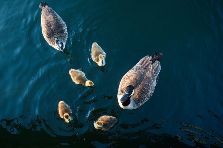 Domaine AbracadaRoom : L'Escale Royale Port Ilon - Image 13