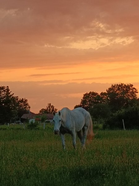 Hébergement AbracadaRoom : Dôme Shizen - Image 24