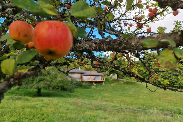 Hébergement AbracadaRoom : Refuge insolite avec vue panoramique - Image 12