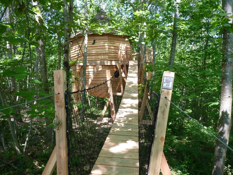 Nids_cabanes_Nids_du_bearn_sejour_en_foret_abracadaroom