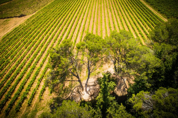 Hébergement AbracadaRoom : Rollier - Image 31