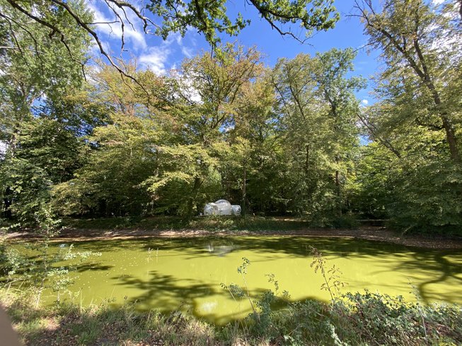 Hébergement AbracadaRoom : Bulle de l'étang - Image 6