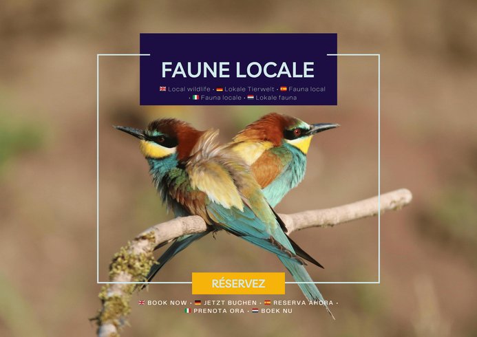 Domaine AbracadaRoom : Houseboat Camargue - Image 11