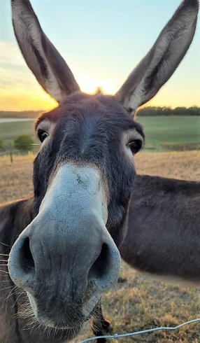 Domaine AbracadaRoom : Casa Sana - Image 15