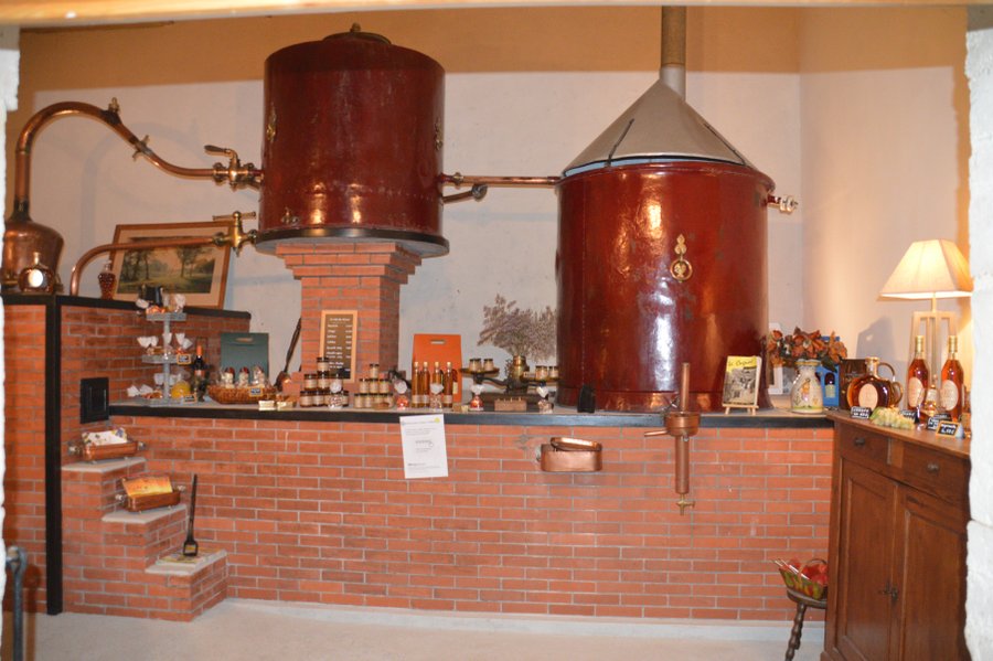 Domaine AbracadaRoom : Abri des Chênes - Image 7