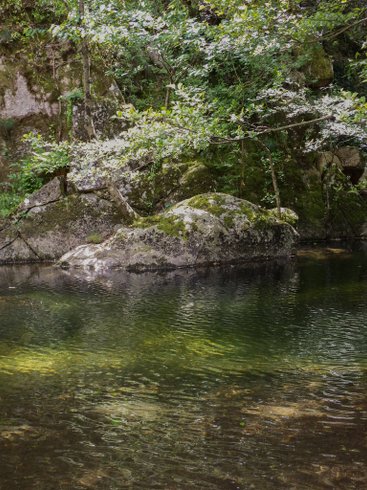 Domaine AbracadaRoom : Lascoutch - Image 14