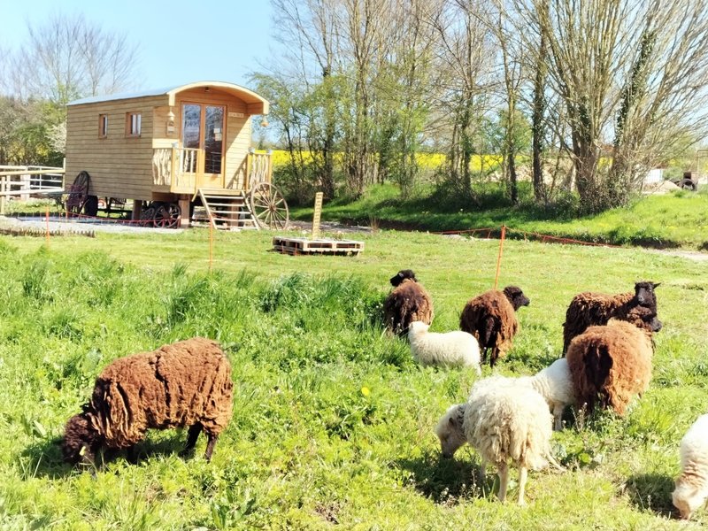 Hébergement AbracadaRoom : La Roulotte de Jane - Image 3