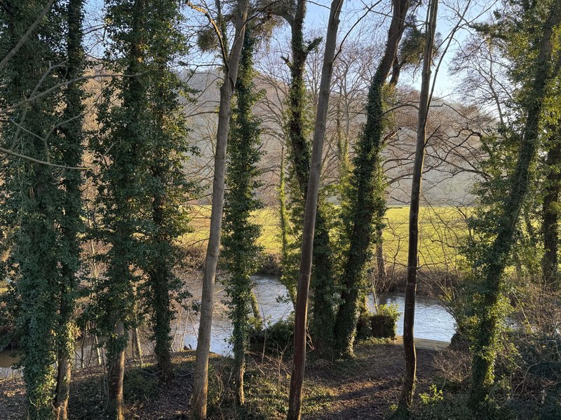 Hébergement AbracadaRoom : Bulle Perchée Etoile Filante & Spa - Image 17