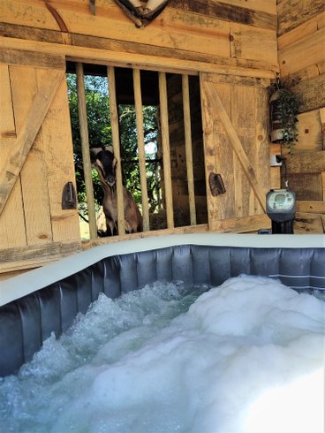 Hébergement AbracadaRoom : Le Campement Sous les Pins - Image 5