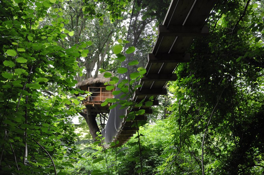 Hébergement AbracadaRoom : Vieux Chêne - Image 4