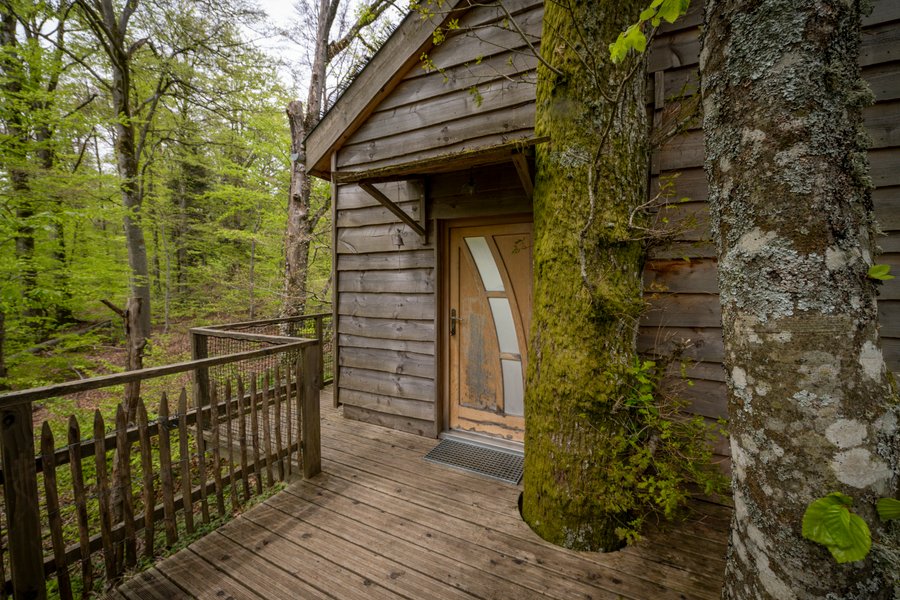 Hébergement AbracadaRoom : La Pat' de l'ours - Image 5