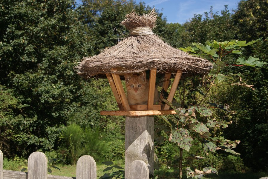 Domaine AbracadaRoom : Cabanes de Labrousse - Image 4