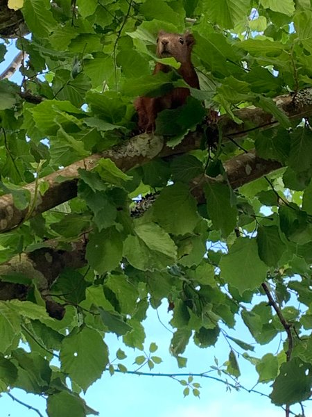 Hébergement AbracadaRoom : Cabane Le Cœur de Xanet - Image 20