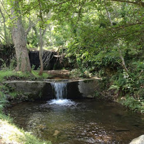 Hébergement AbracadaRoom : Yourte XL 4/6 pers - Image 6