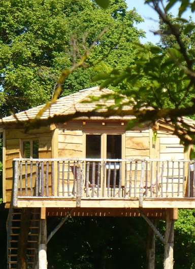 cabane dans les arbres "les 3 chouettes"