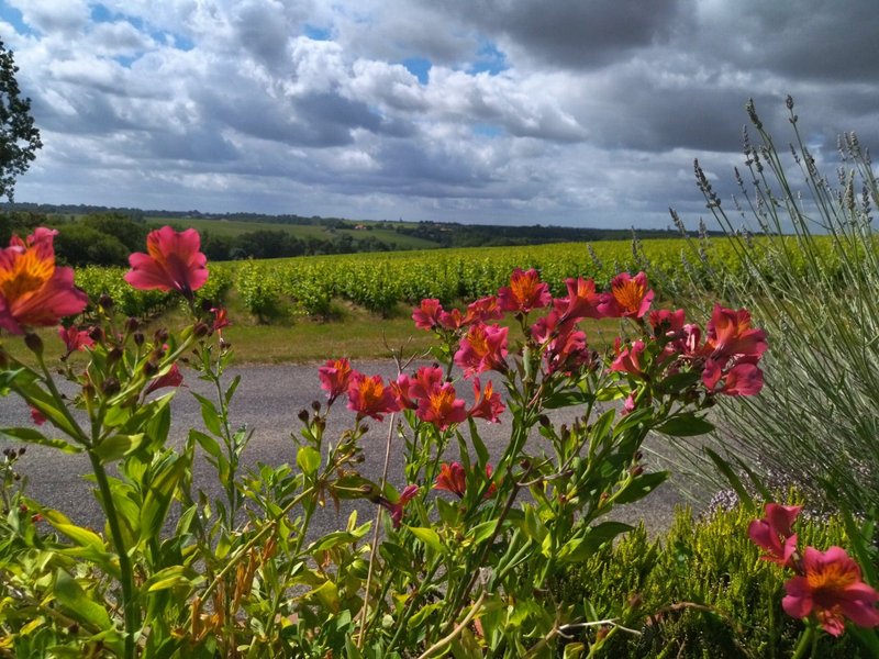 Domaine AbracadaRoom : Les Chemins d'Ambre & Thaïs - Image 1
