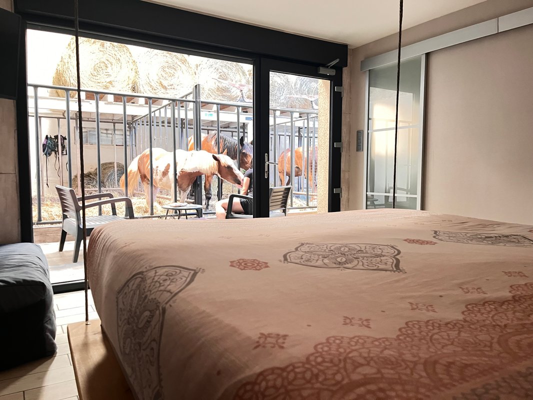 Suite 3 - 3 pers. terrasse avec des chevaux pour voisin de chambre à Fraisnes-En-Saintois (2)